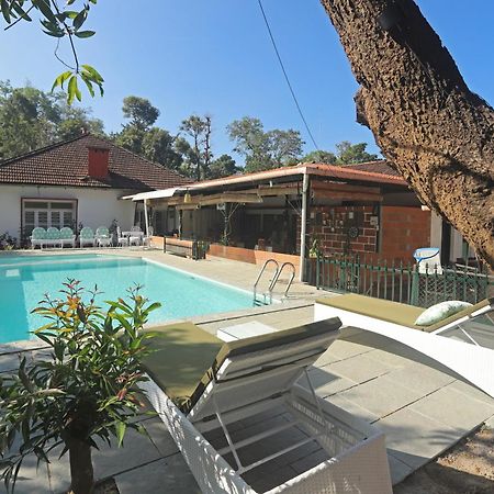 Devi Villa - Plantation Retreat And Forest Getaway Kutta Exterior foto