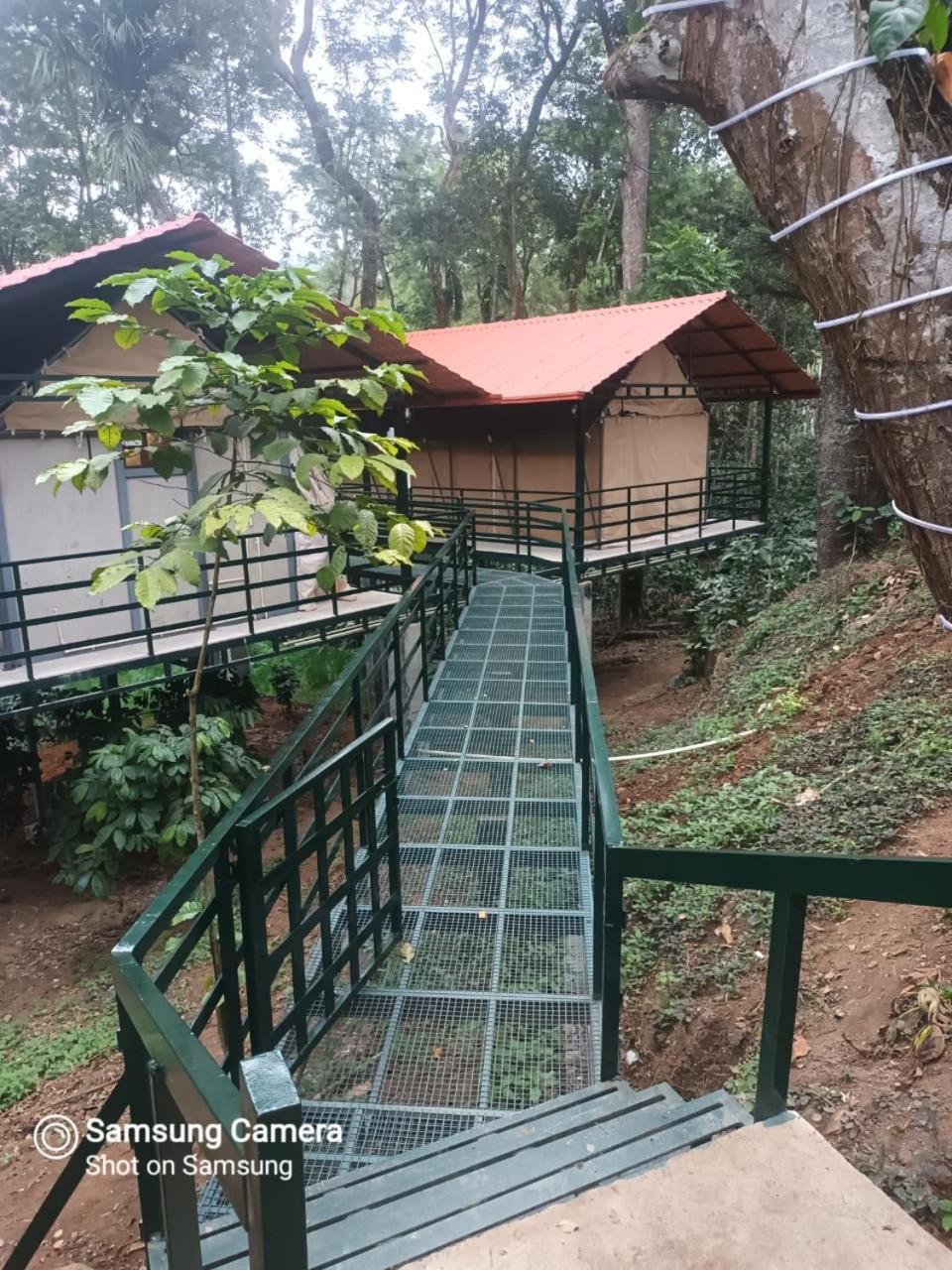 Devi Villa - Plantation Retreat And Forest Getaway Kutta Exterior foto